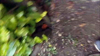CACHE CACHE AVEC MES POTES DANS MON ECOLE