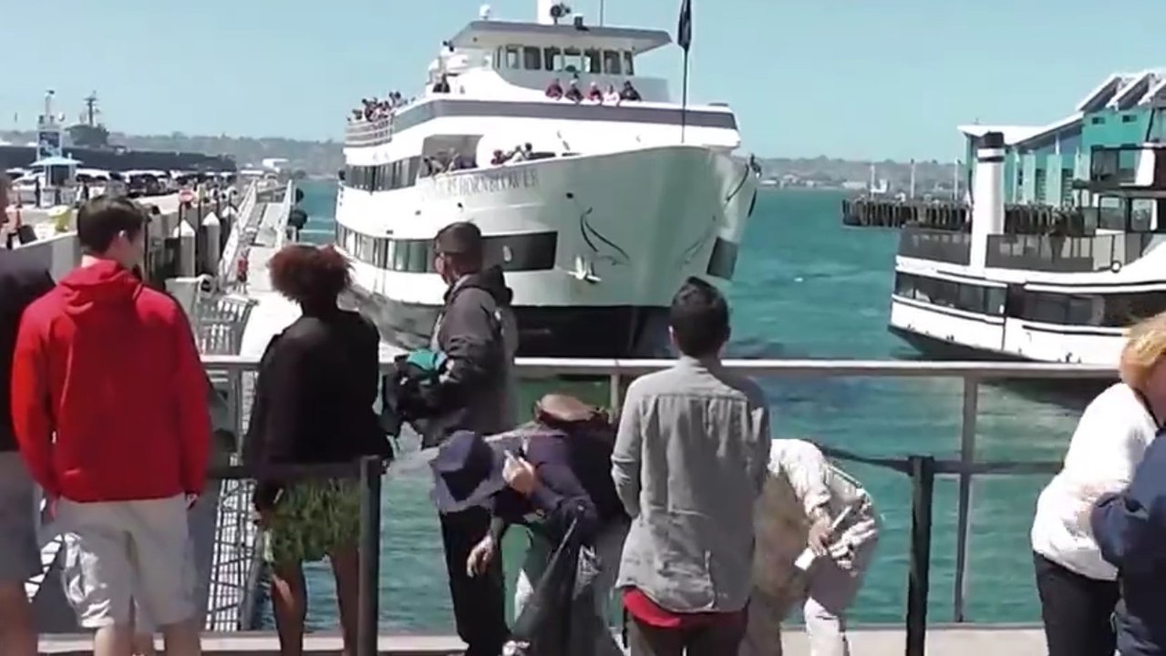 Un bateau arrive bien trop vite au port et percute le quai