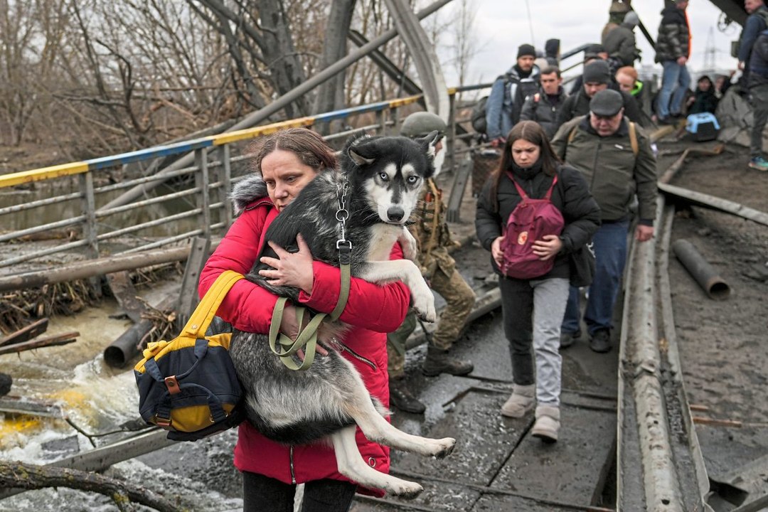 Auf der Flucht mit Haustieren
