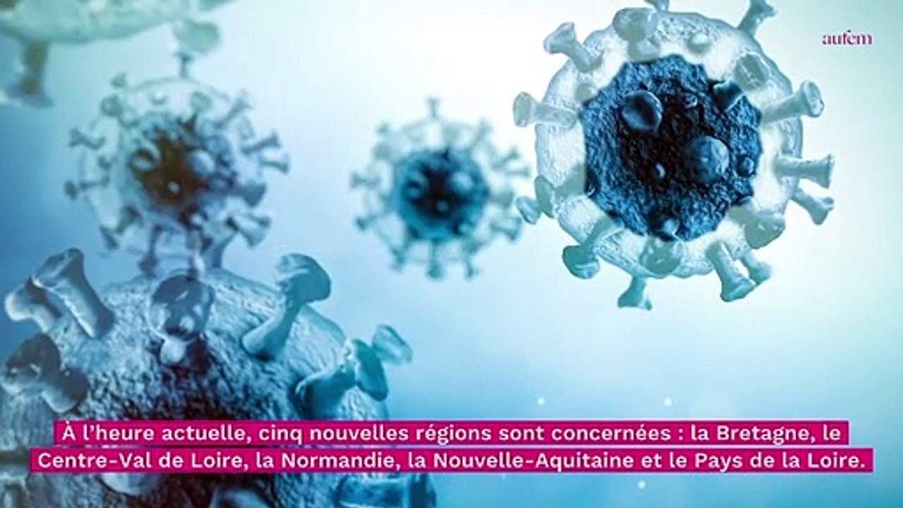 Grippe : l'agence nationale de santé alerte sur la flambée de l'épidémie