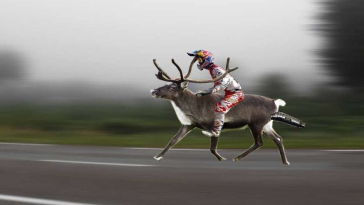 Le Bon Coin : une annonce pour un "Caribou de compet 50cc" pour aller toujours plus vite