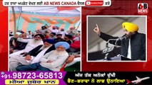 Bhagwant Mann CM Punjab AAP Party Punjab Election 2022 Sukhpal Khaira   - AB News Canada