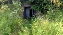 Découverte : ils trouvent un bunker nazi de la Seconde Guerre mondiale au fin fond d'une forêt