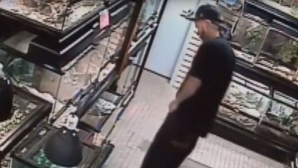 Un homme tente de voler un serpent en le cachant dans son pantalon