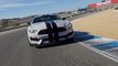 Essai Ford Shelby GT350R Mustang : Prix, fiche technique, vidéo du muscle car de tous les excès