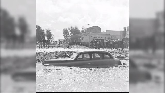 Noyade en voiture : les réflexes à avoir si vous tombez à l'eau