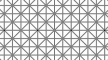 Illusion d'optique : combien de points noirs voyez-vous sur cette image ?