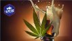 Alcool et cannabis, lequel est le plus nocif ?