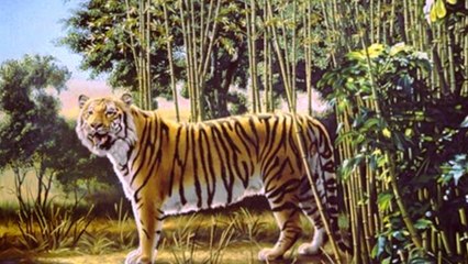 "The Hidden Tiger" : arriverez-vous à retrouver le tigre caché sur cette peinture ?