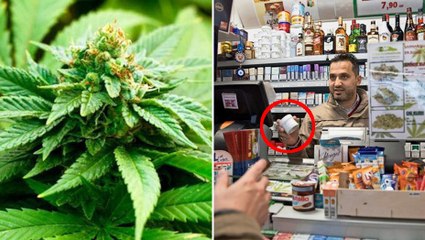 Suisse : le pays lance la vente de cannabis en bureau de tabac