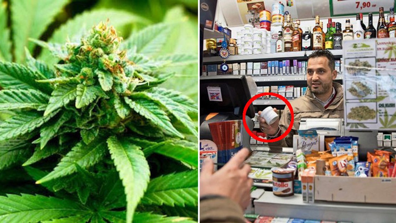 Suisse : le pays lance la vente de cannabis en bureau de tabac