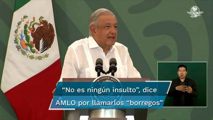 Llamar "borregos" a parlamentarios europeos no es un insulto: AMLO