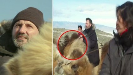 Frédéric Lopez se blesse en tombant du dos d'un chameau en Mongolie