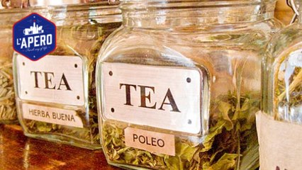 Le thé de poleo : un thé mexicain pour lutter contre la gueule de bois