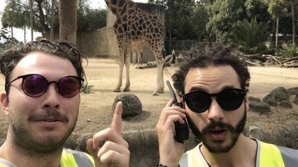Porter un gilet jaune vous permet d'entrer partout gratuitement, la preuve