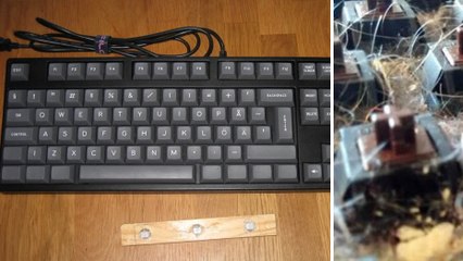 Il lave son clavier d'ordinateur pour la première fois en 6 ans