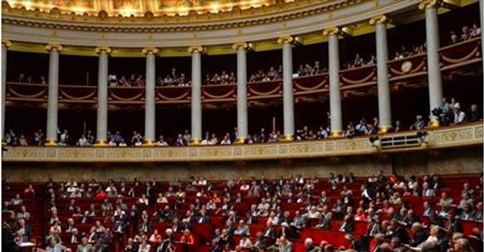 Législatives : quels sont les avantages financiers que les députés sortants vont conserver ?