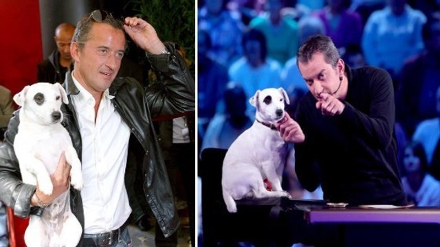 Christophe Dechavanne : voici ce qu'est devenu le petit chien blanc de l'animateur