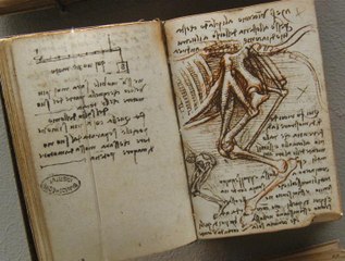 Comment écrire une lettre de motivation digne de Léonard de Vinci