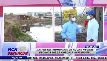 ¡Laguna de Pupú y zancudos! Inundados de aguas negras vecinos en col. San Miguel
