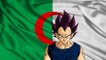 Dragon Ball : Vegeta est-il Algérien ?