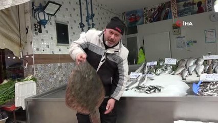 5 kiloluk kalkan balığı 3 bin liraya satıldı
