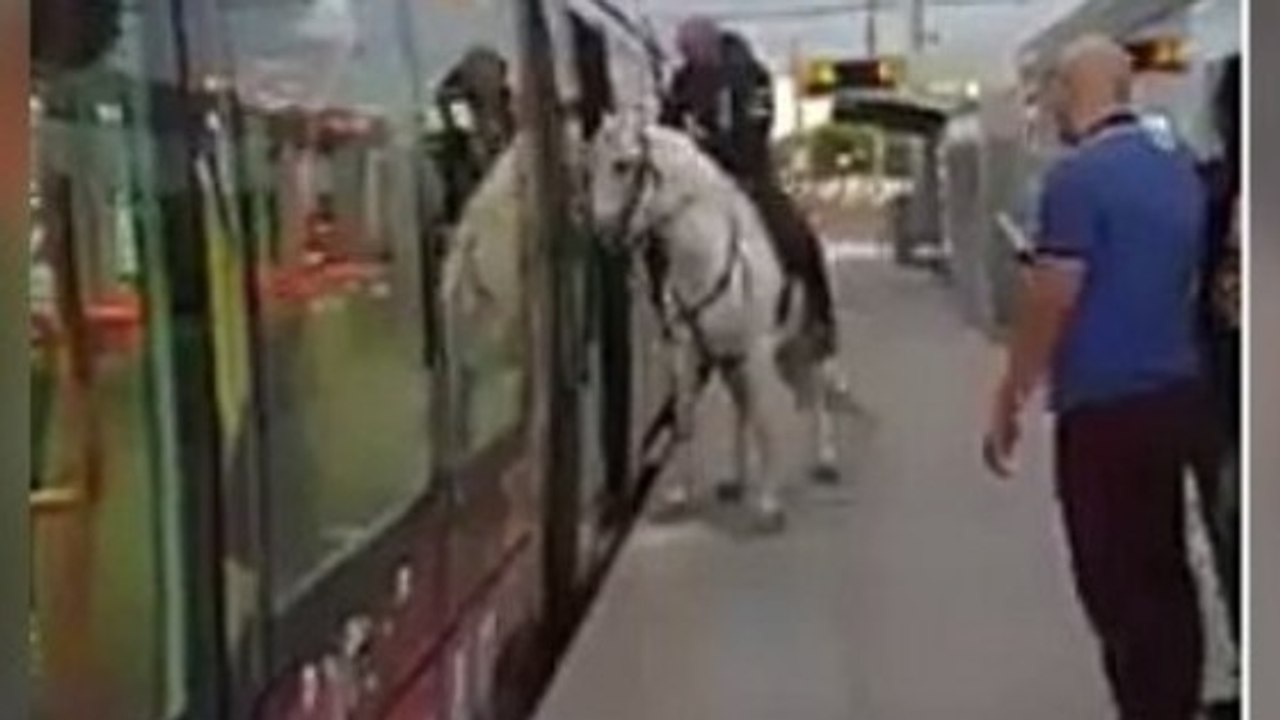 Il monte dans le tramway de Montpellier avec… s...