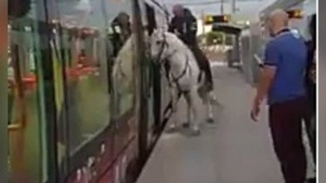 Il monte dans le tramway de Montpellier avec… son cheval !