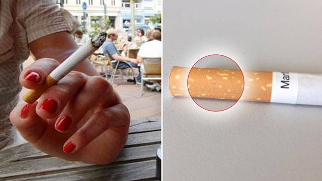 Cigarettes Light : une étude démontre qu'elles seraient les plus dangereuses pour la santé