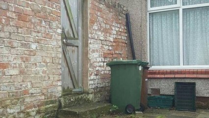 Cette photo d'un chat très bien caché dans le décor va vous rendre fou !