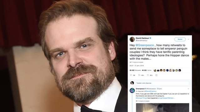 David Harbour : après un nouveau pari perdu, l'acteur de Stranger Things va aller danser avec des manchots en Antarctique