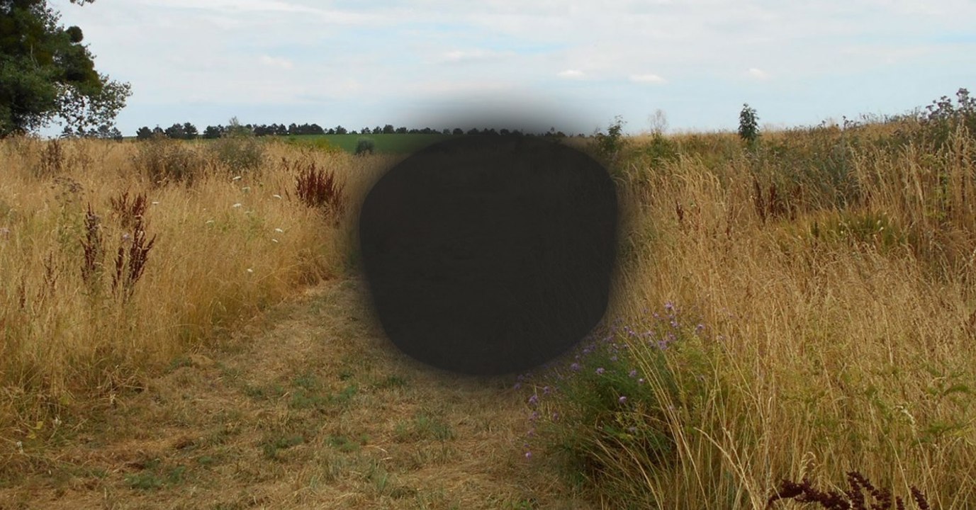 Taches noires devant les yeux quand fautil commencer à s'inquiéter