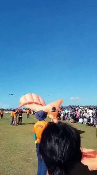 Une petite fille emportée par un cerf-volant s'en sort par miracle... quelle chance!!