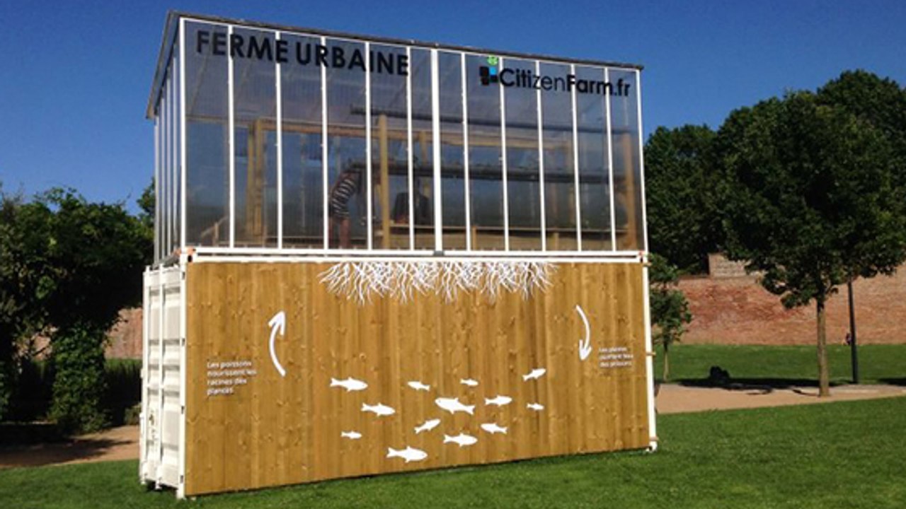 Aussi grande qu'une place de parking, cette ferme urbaine produit 800 kg de légumes par an