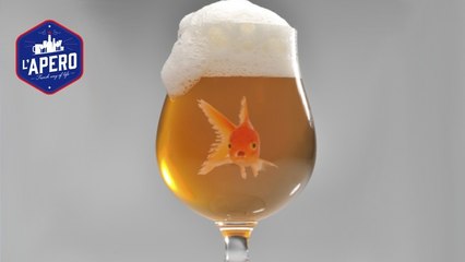 Votre poisson rouge peut synthétiser de l'alcool quand il n'a pas d'oxygène
