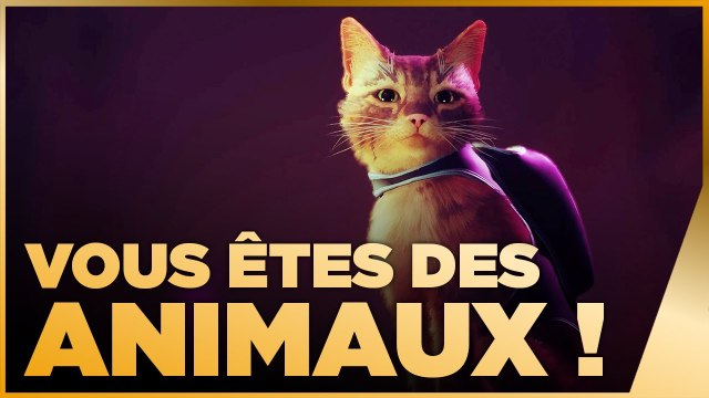 10 jeux où vous incarnez un animal ! TOP 10