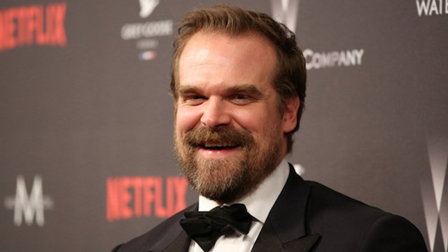 Après un pari perdu, David Harbour de Stranger Things va officier le mariage d’un couple fan de la série