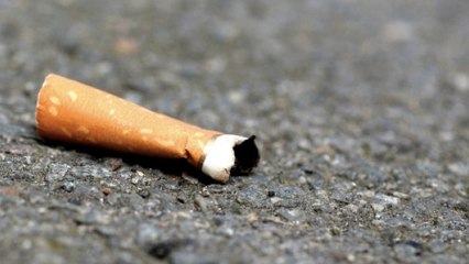 Toutes les conséquences terribles d'un simple jet de mégot au sol