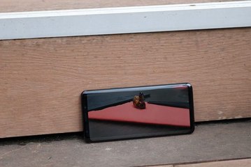 Un Galaxy Note 9 avec 512 Go de stockage et 8 Go de RAM ?
