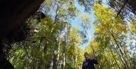 American Grit S02 E01