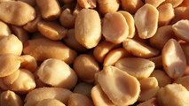 Un remède pour traiter l'allergie aux cacahuètes ?