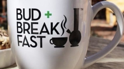 Découvrez BudnBreakfast, une auberge de jeunesse pas comme les autres