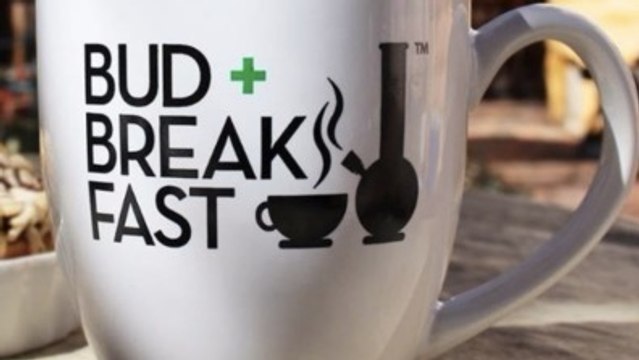 Découvrez BudnBreakfast, une auberge de jeunesse pas comme les autres