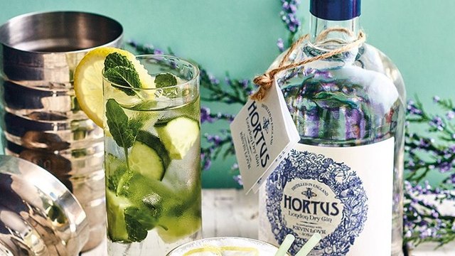 Un Gin Lidl reçoit une note aussi bonne que des bouteilles de grandes marques lors d'une dégustation