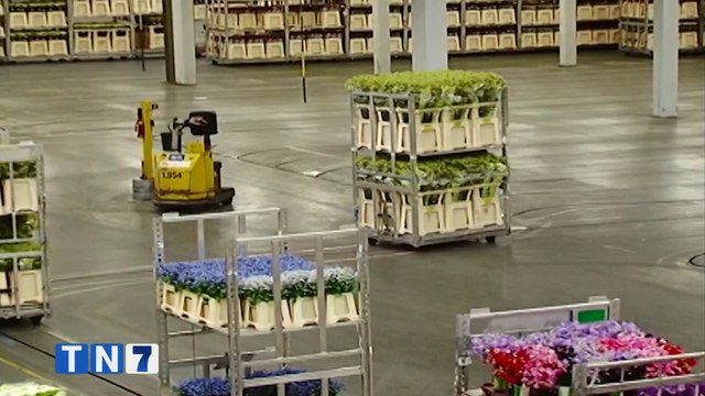 tn7-conflicto-rusia-ucrania-pasa-factura-a-exportaciones-ticas-110322