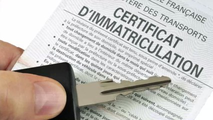 Carte grise : prix, documents à fournir, où la demander… Tout savoir sur le certificat d'immatriculation
