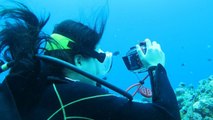 Elle retrouve son appareil photo dans la mer deux ans après l'avoir perdu... Et son contenu est surprenant !