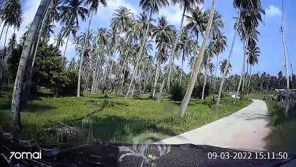 Snake Removed Via Windshield Wiper