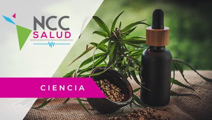 Un “coffee shop” busca promover la cultura cannábica en México