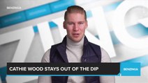 Cathie Wood Stays Out of the Dip